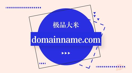 國人為國爭光 重金收購域名行業“極品大米”，推動計量技術服務數字化升級