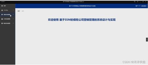 朝陽(yáng)保險(xiǎn)公司營(yíng)銷管理系統(tǒng)（SSM框架）設(shè)計(jì)與實(shí)現(xiàn)——新手入門指南