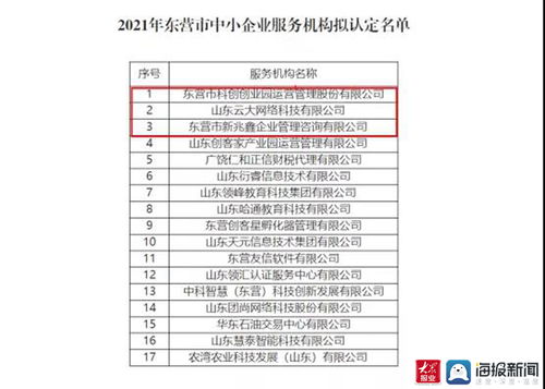 東營高新區(qū)再添新翼 三家市級中小企業(yè)服務(wù)機構(gòu)獲認(rèn)定，聚焦計算機軟硬件開發(fā)與銷售